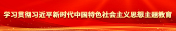 韩AV用力艹学习贯彻习近平新时代中国特色社会主义思想主题教育